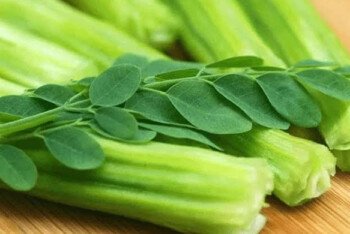 সজনে’ র যত উপকারিতা