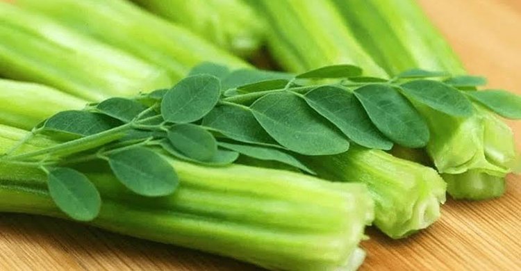 সজনে’ র যত উপকারিতা