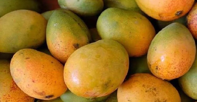 কখন আম খাওয়া ঠিক নয়