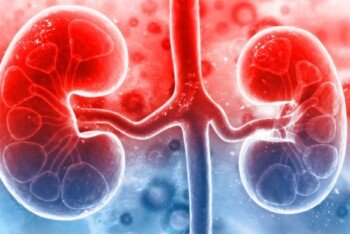 কিডনি ভালো রাখুন ঘরোয়া উপায়ে