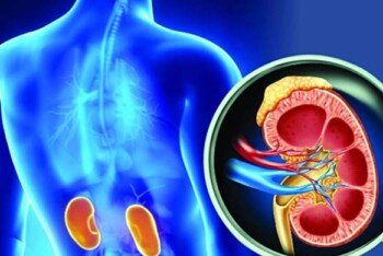 দিনে কতবার প্রস্রাব হওয়া স্বাভাবিক? কিডনি সমস্যার লক্ষণ নয়তো