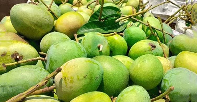 বিশ্বের ২৫টি দেশে বাংলাদেশের ৬ শ’ টন আম রফতানি