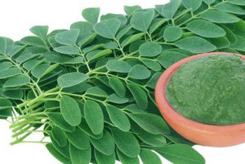 আর্থ্রাইটিস, ডায়াবেটিস ও হাইপ্রেসার নিয়ন্ত্রণে সজনে পাতা