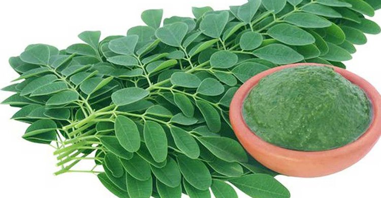 আর্থ্রাইটিস, ডায়াবেটিস ও হাইপ্রেসার নিয়ন্ত্রণে সজনে পাতা