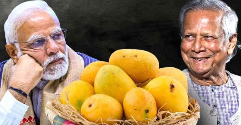 মোদীকে হাড়িভাঙ্গা আম উপহার পাঠাচ্ছেন ড. ইউনূস
