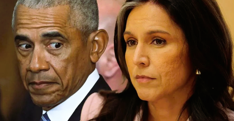 ২০১৬ নির্বাচন ‘ষড়যন্ত্রে’ ওবামার বিচার চান তুলসি গ্যাবার্ড