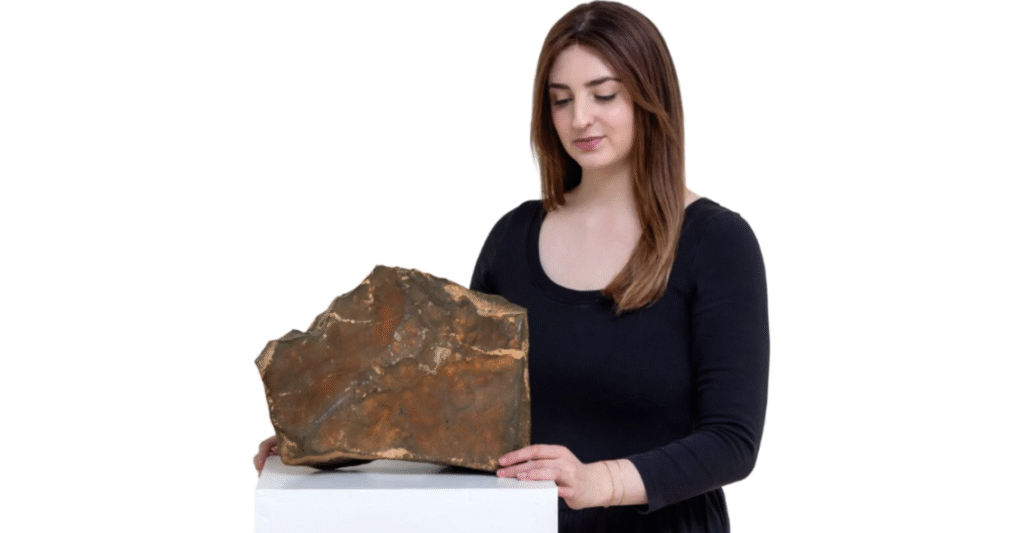 ৫.৩ মিলিয়ন ডলারে বিক্রি হলো মঙ্গলীয় উল্কাপিণ্ড