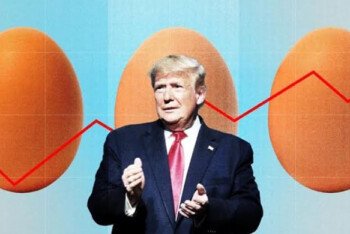 ডিমের দাম বাড়ায় ক্যালিফোর্নিয়ার বিরুদ্ধে ট্রাম্প প্রশাসনের মামলা