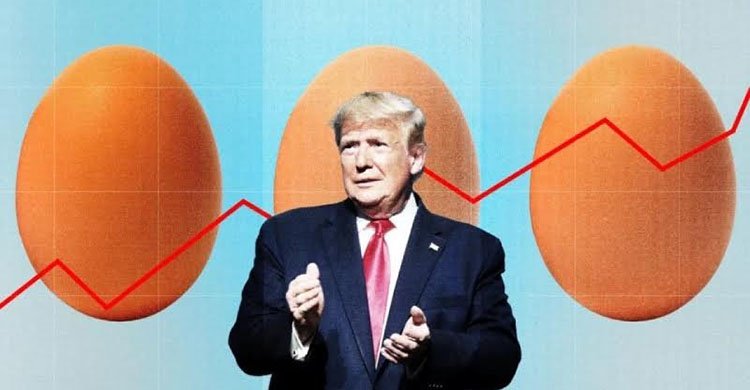 ডিমের দাম বাড়ায় ক্যালিফোর্নিয়ার বিরুদ্ধে ট্রাম্প প্রশাসনের মামলা