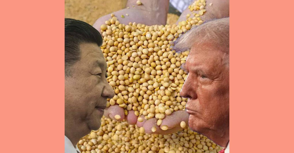 আমেরিকা থেকে সয়াবিন কেনা বন্ধ করে দিচ্ছে চিন? বিপদ বুঝে ট্রাম্পকে চিঠি কৃষকদের