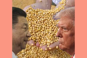 আমেরিকা থেকে সয়াবিন কেনা বন্ধ করে দিচ্ছে চিন? বিপদ বুঝে ট্রাম্পকে চিঠি কৃষকদের