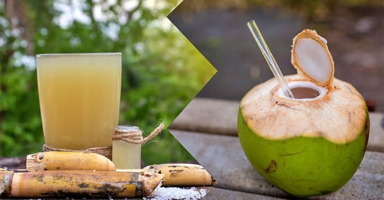 ডাবের পানি না আখের রস- গরমে সুস্থ থাকতে কোনটি উপকারী?