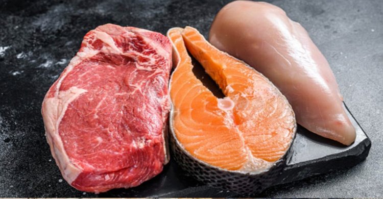 মাছ নাকি মাংস, কোনটা শরীরের জন্য বেশি জরুরী?