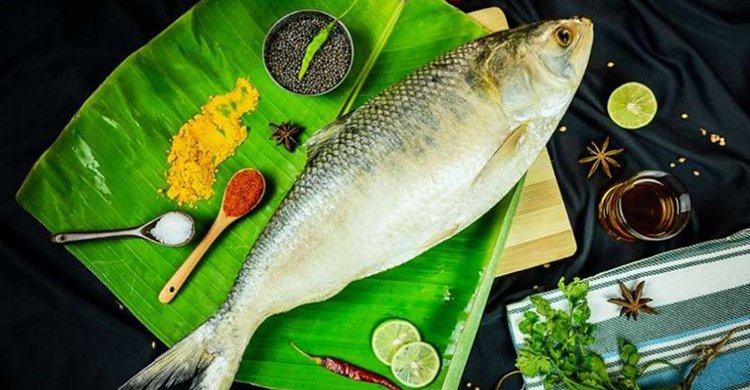 যেভাবে খেলে হার্ট ভালো রাখবে ইলিশ