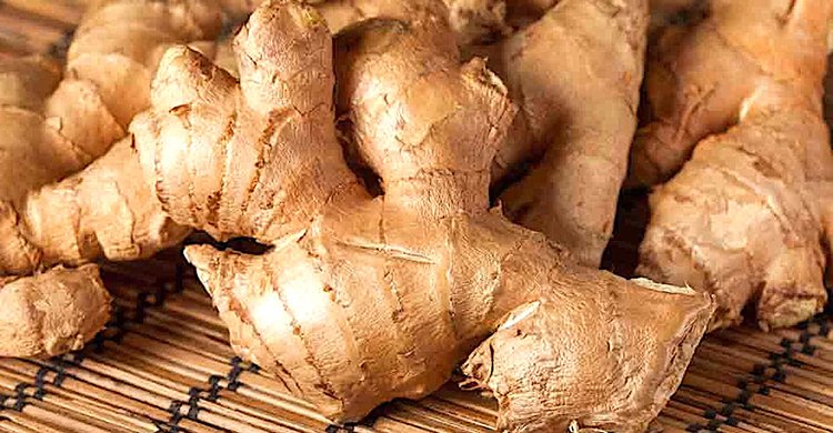 আদার উপকারিতা অনেক