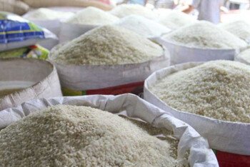 চাল রপ্তানিতে নতুন শর্ত দিল ভারত, বাংলাদেশে কতটা প্রভাব পড়বে