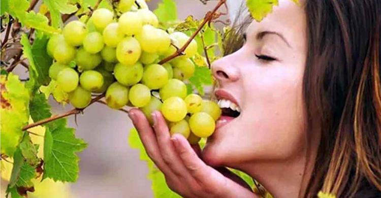 নিয়মিত আঙুর খেলে ক্যানসার প্রতিরোধসহ আরও যেসব উপকার
