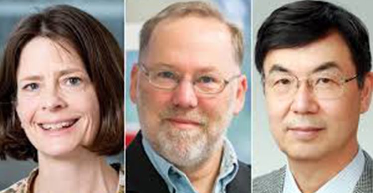 চিকিৎসায় নোবেল পেলেন যুক্তরাষ্ট্র ও জাপানের তিন বিজ্ঞানী