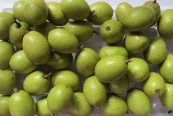 জলপাই কেন খাবেন