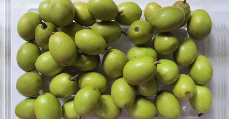 জলপাই কেন খাবেন