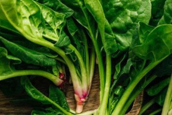 পালংশাকের পুষ্টিগুণ