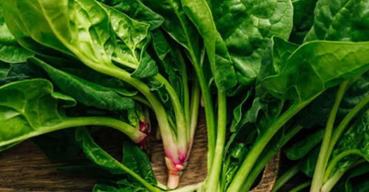 পালংশাকের পুষ্টিগুণ
