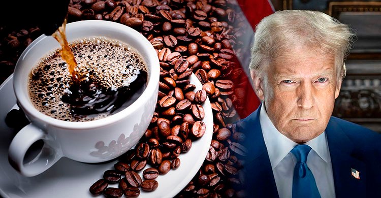 ব্রাজিলের গরুর মাংস ও কফি থেকে শুল্ক প্রত্যাহার ট্রাম্পের