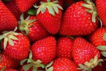 অনন্য স্বাদে টইটুম্বুর স্ট্রবেরি, রয়েছে ৬ স্বাস্থ্যগুণ