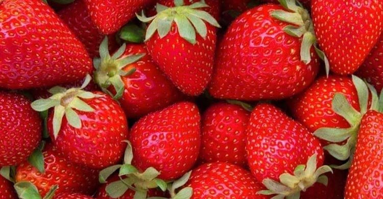 অনন্য স্বাদে টইটুম্বুর স্ট্রবেরি, রয়েছে ৬ স্বাস্থ্যগুণ
