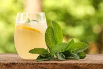 কিডনি ভালো রাখে এই ৩ প্রাকৃতিক পানীয়