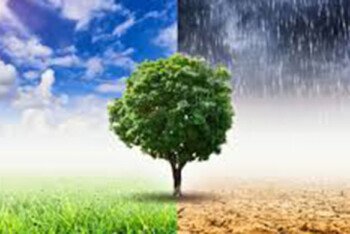 জলবায়ু পরিবর্তনে এক বছরে বাংলাদেশের ক্ষতি ২৪ বিলিয়ন ডলার – দ্য ল্যানসেটের প্রতিবেদন