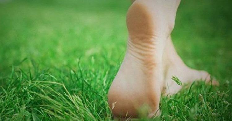 প্রতিদিন হাঁটার অভ্যাস করলে শরীরে যে পরিবর্তন ঘটে