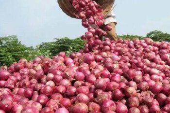 বাংলাদেশের কারণে কাঁদছে ভারতের পেঁয়াজ রপ্তানিকারকরা