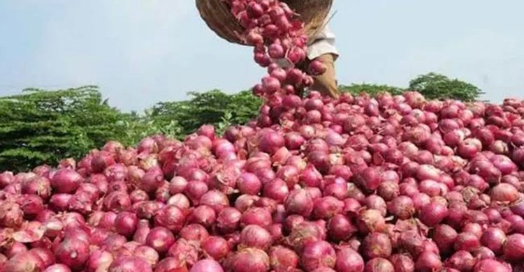 বাংলাদেশের কারণে কাঁদছে ভারতের পেঁয়াজ রপ্তানিকারকরা