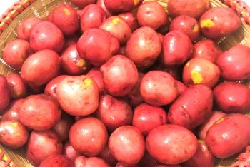 লাল আলু কেন খাবেন