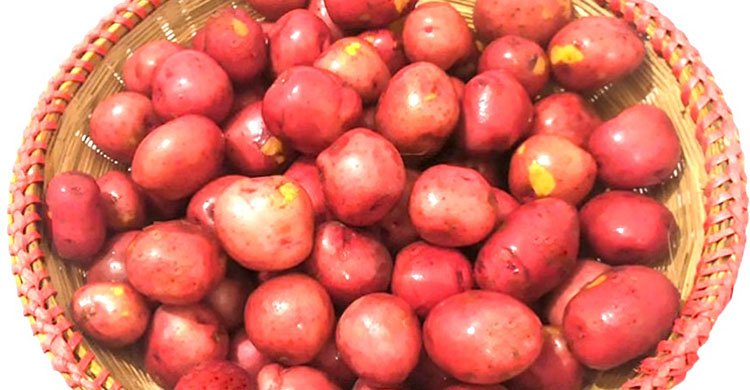 লাল আলু কেন খাবেন