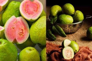 পেয়ারা না লেবু-কোনটি বেশি উপকারী?