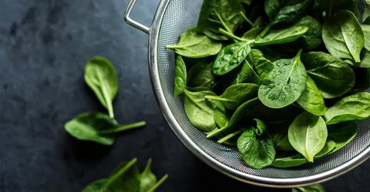 শীতে রোগ মোকাবিলায় খেতে পারেন পালংশাক