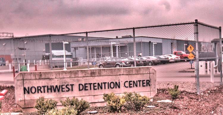 ৮০ হাজার অবৈধ অভিবাসীকে গুদামে রাখার পরিকল্পনা ট্রাম্পের, ওয়াশিংটন পোষ্ট পত্রিকার রিপোর্ট