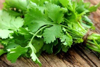 ধনেপাতার যত উপকারিতা: ব্যথা, উদ্বেগ ও রক্তে শর্করা কমায়