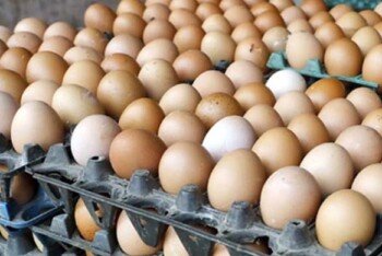 বাংলাদেশে বর্তমানে চাহিদার চেয়ে বেশি ডিম উৎপাদন হচ্ছে