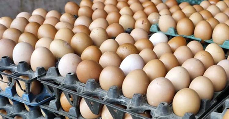 বাংলাদেশে বর্তমানে চাহিদার চেয়ে বেশি ডিম উৎপাদন হচ্ছে