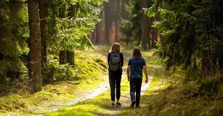 প্রকৃতিতে মাত্র ১৫-২০ মিনিট হাঁটলেই বাড়ে মনোযোগ ও মস্তিষ্কের কার্যক্ষমতা