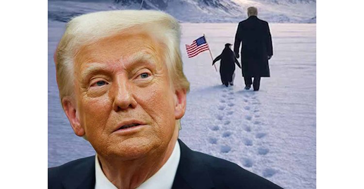 আমেরিকার পতাকা নিয়ে বরফে হেঁটে চলেছে পেঙ্গুইন, পাশে ট্রাম্প! মিম পোস্ট করে আবার গ্রিনল্যান্ড দখলের বার্তা ট্রাম্পের