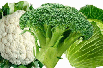 ক্যানসার ঠেকাতে পাতে রাখুন ৩ সবজি