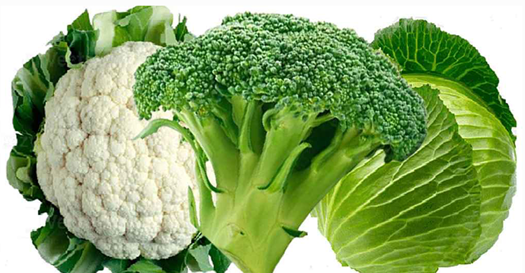 ক্যানসার ঠেকাতে পাতে রাখুন ৩ সবজি