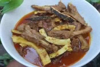 নারিকেলি হাঁস