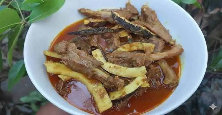 নারিকেলি হাঁস