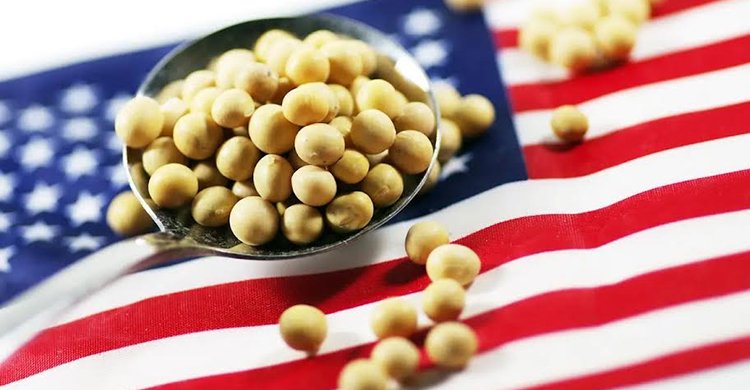 সেপ্টেম্বর–ডিসেম্বরে যুক্তরাষ্ট্র থেকে বাংলাদেশে সয়াবিন আমদানি বেড়েছে ৩১০ শতাংশ