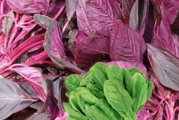 লাল শাক ও পালংয়ে যে উপকার